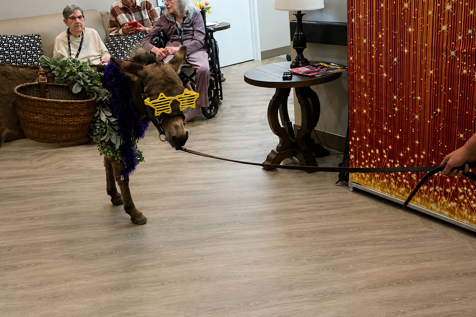 Walter the mule wearing yellow glasses and a purple boa at a Lotsa Laffs event